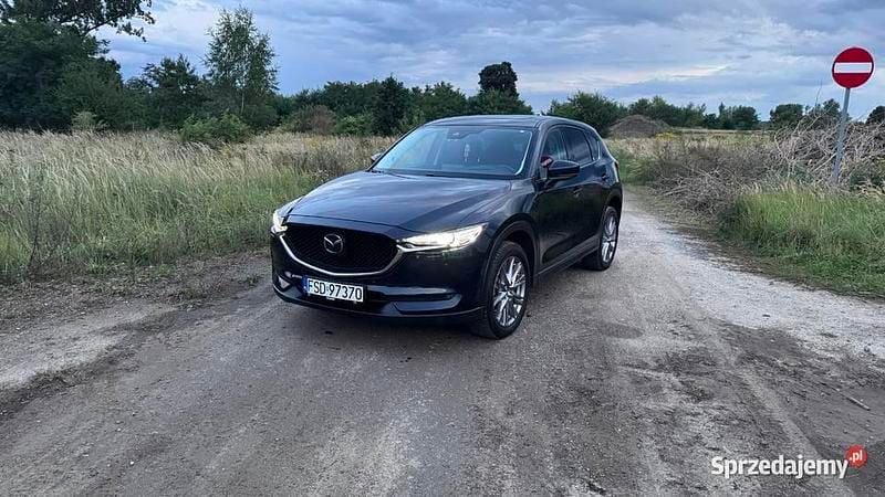 Obraz 2/4