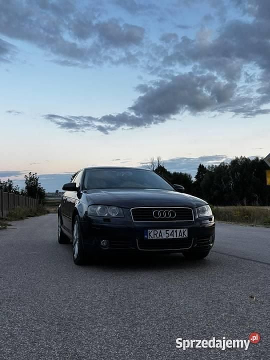 Grafitowy Używany 2003 Audi A3 Hatchback | 3500 zł (Dobra cena) - Obraz 1/4