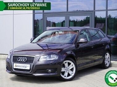 Czarny Używany 2010 Audi A3 Hatchback | 33 999 zł (Dość drogi) - Obraz 1/4