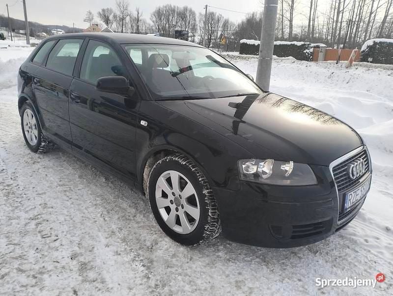 Czarny Używany 2006 Audi A3 Hatchback | 15 500 zł (Uczciwa cena) - Obraz 1/4