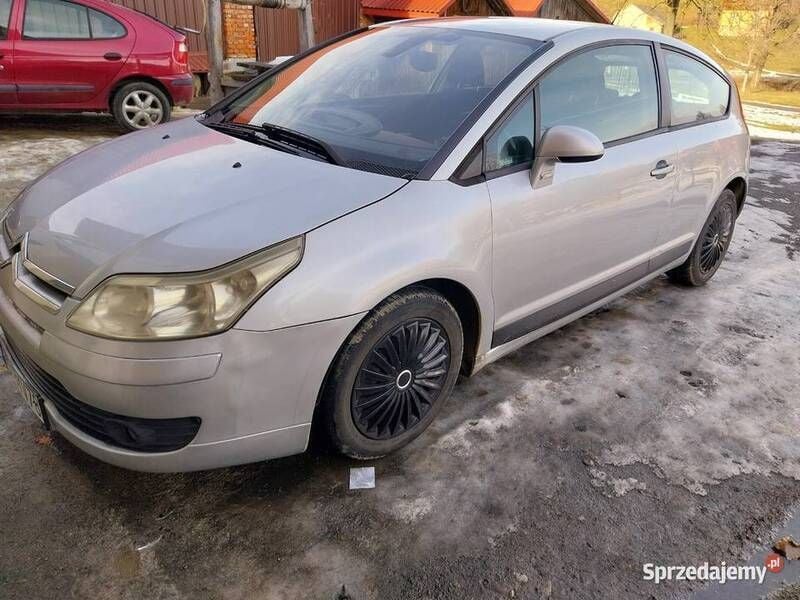 Obraz 2/4