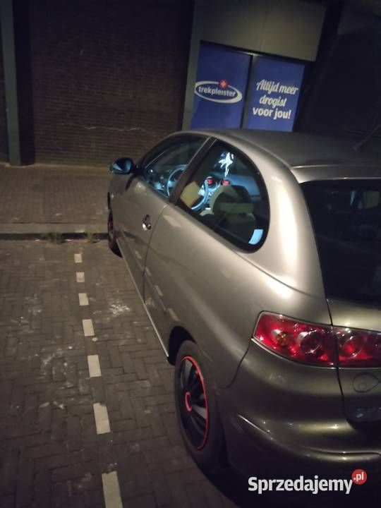 Używany Seat Ibiza 75 KM (55 kW) 2003 Hatchback