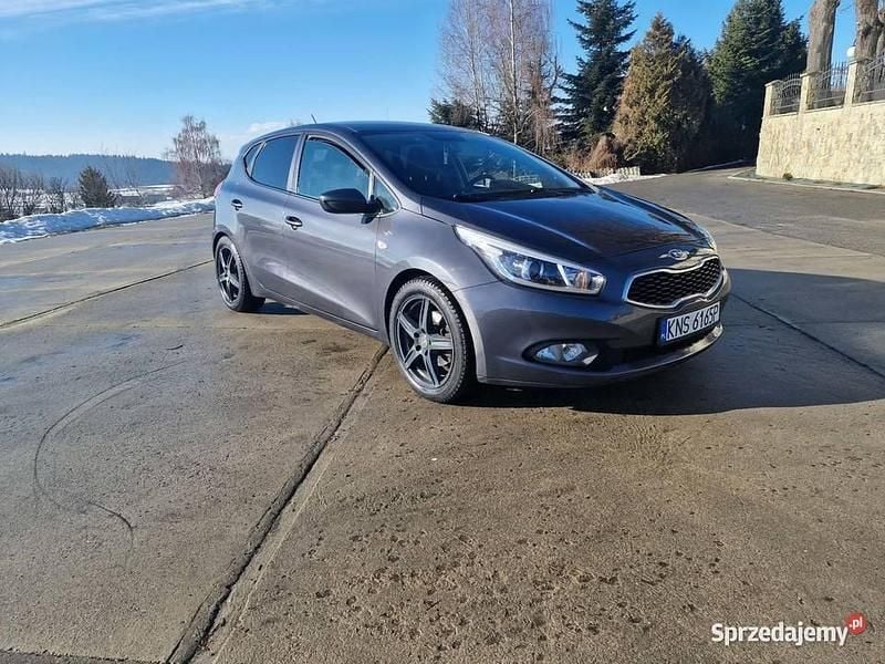Używany Kia Ceed 2015 Hatchback