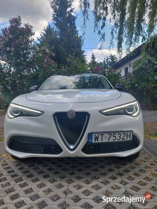 Biały Używany 2019 Alfa Romeo Stelvio SUV | 98 000 zł (Uczciwa cena) - Obraz 1/4