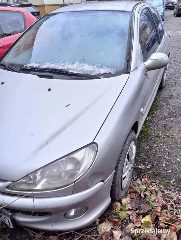 Używany Peugeot 206 2004