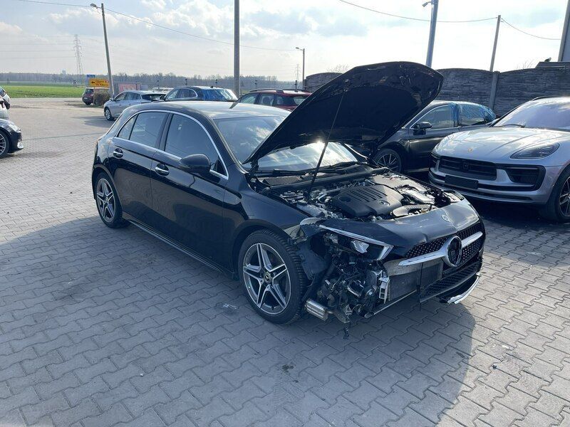 Obraz 3