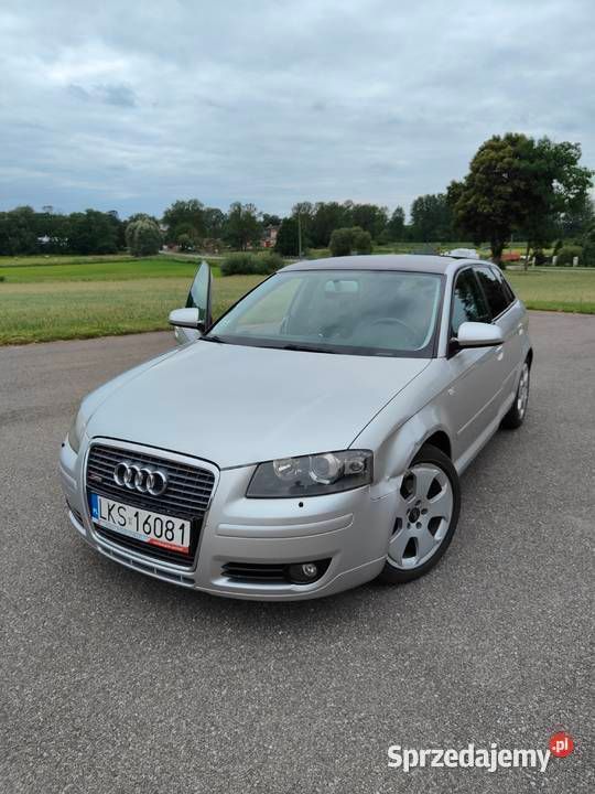 Używany 2006 Audi A3 S-Line | 15 600 zł (Dość drogi) - Obraz 1/4