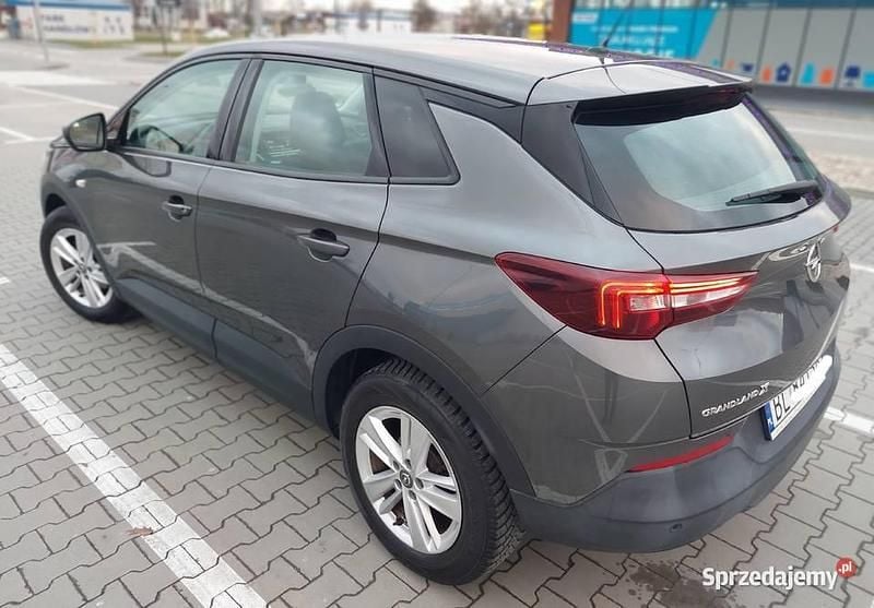 Używany Opel Grandland X 2018 SUV