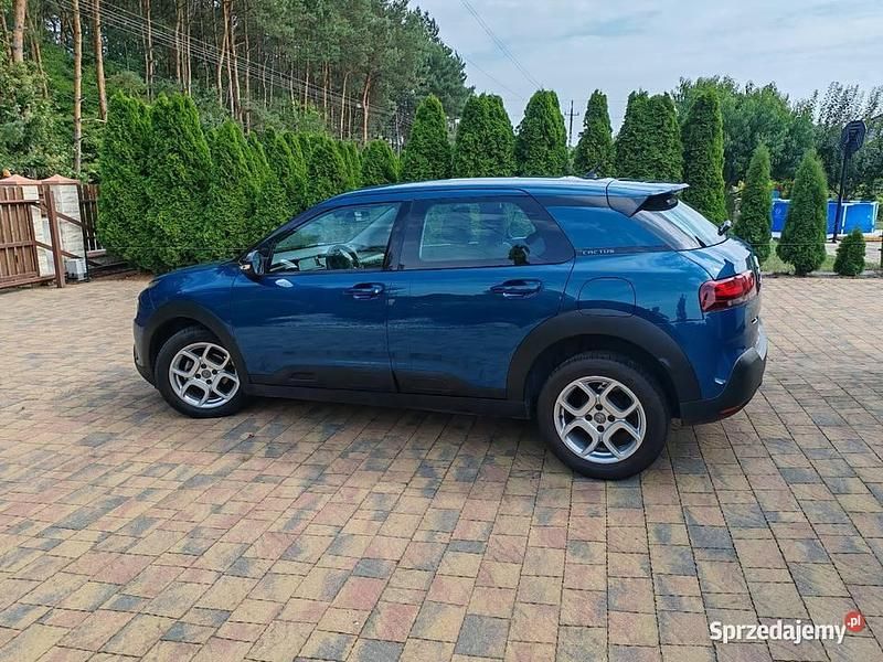 Używany Citroën C4 Cactus 2019 Zielony Hatchback