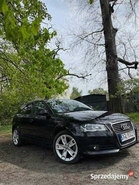 Używany 2009 Audi A3 | 29 500 zł (Drogi) - Obraz 1/4