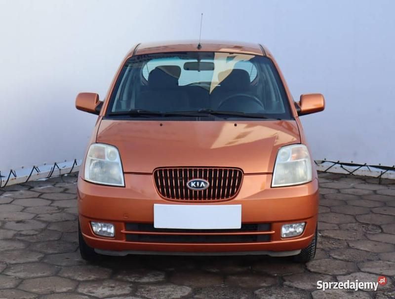 Używany Kia Picanto 65 KM (47 kW) 2008 Pomarańczowy Hatchback