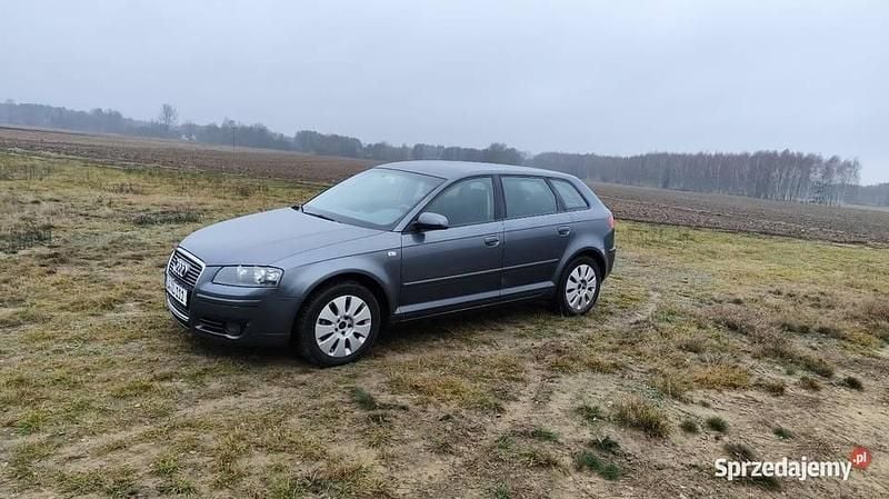 Używany Audi A3 2005 Grafitowy Hatchback