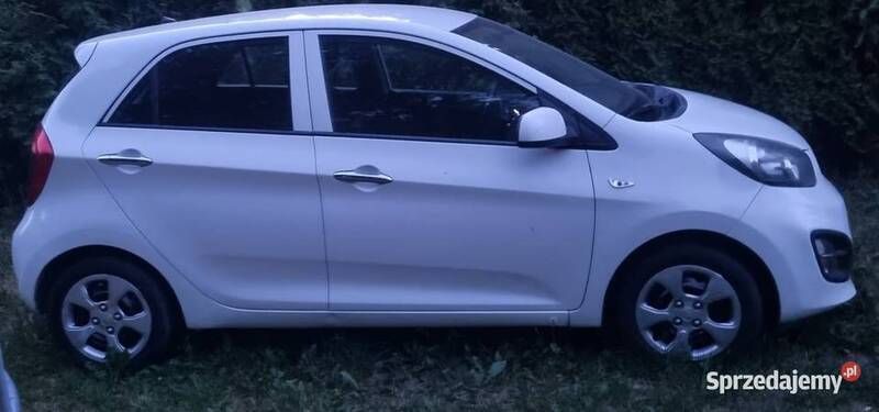 Biały Używany 2013 Kia Picanto Hatchback | 18 000 zł - Obraz 1/4