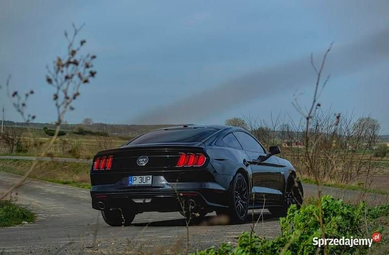 Używany Ford Mustang GT Performance Edition 2015