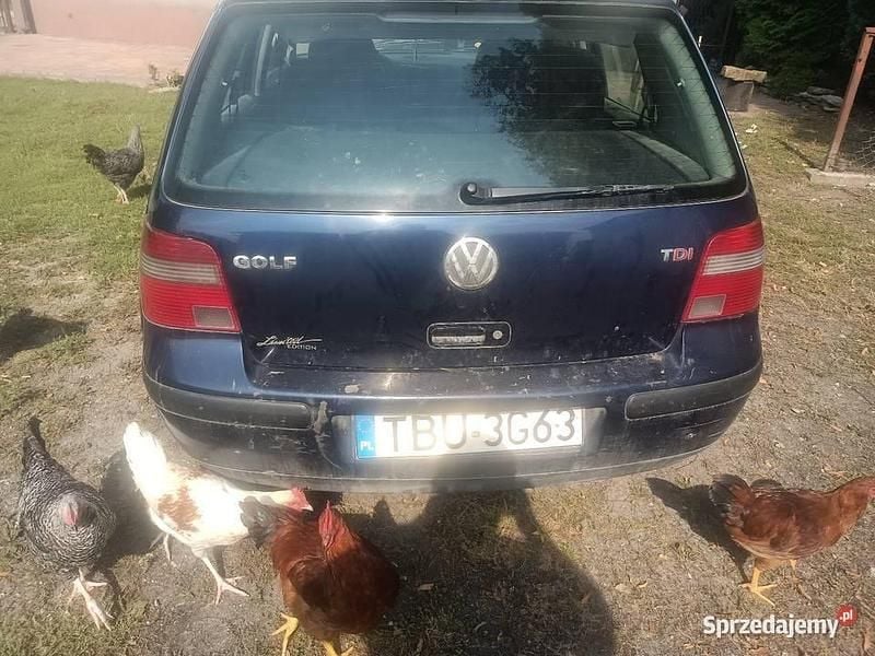 Granatowy Używany 2002 VW Golf IV | 2500 zł - Obraz 1/4