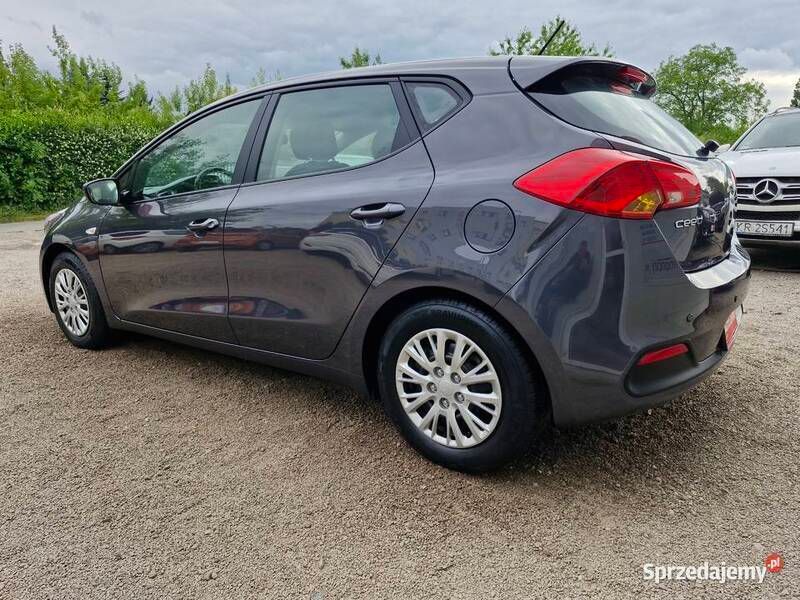 Szary Używany 2015 Kia Ceed Hatchback | 29 900 zł (Uczciwa cena) - Obraz 1/4