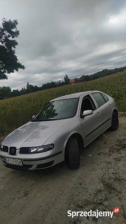 Srebrny Używany 2003 Seat Leon Hatchback | 4800 zł (Uczciwa cena) - Obraz 1/4