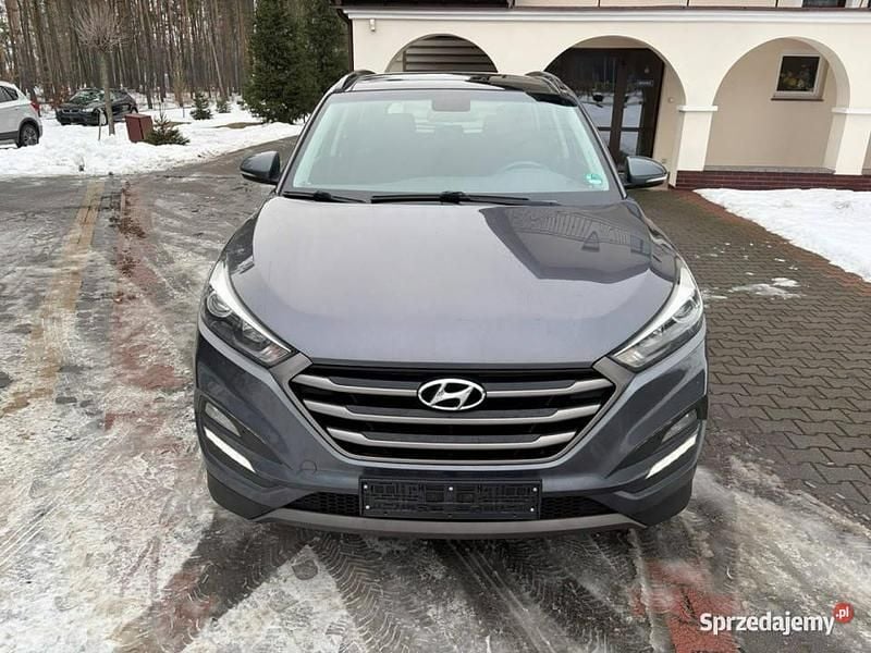 Używany Hyundai Tucson 116 KM (85 kW) 2016 Szary SUV