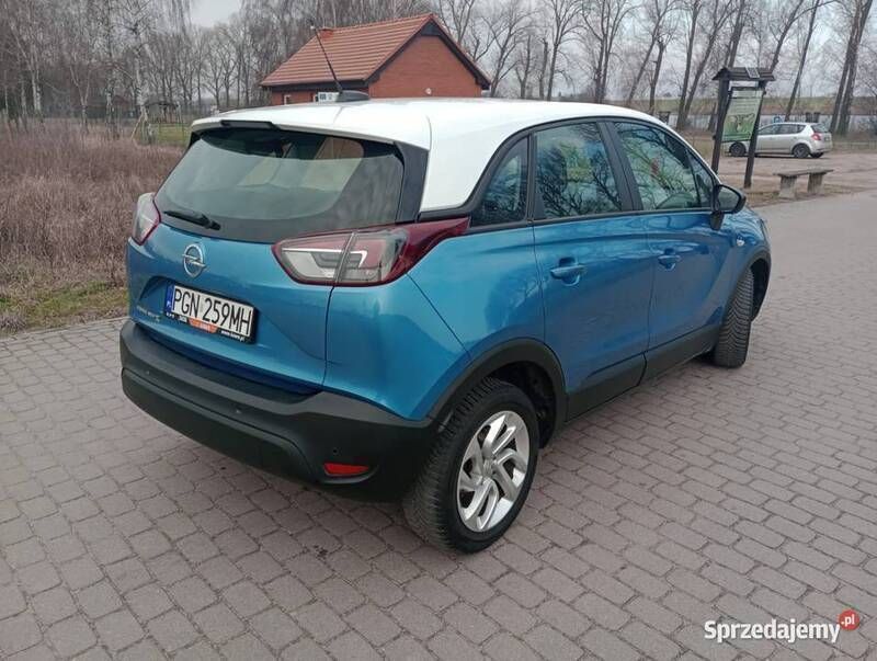 Obraz 1