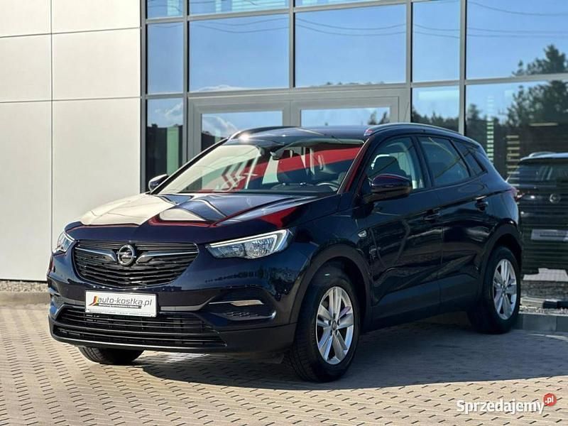Czarny Używany 2019 Opel Grandland X SUV | 50 999 zł (Uczciwa cena) - Obraz 1/3