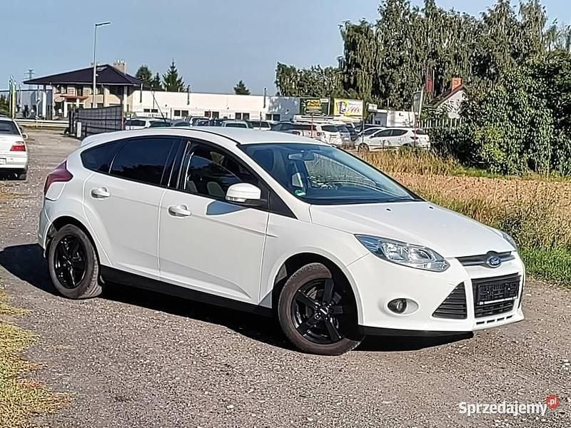 Biały Używany 2011 Ford Focus Hatchback | 18 900 zł (Uczciwa cena) - Obraz 1/4