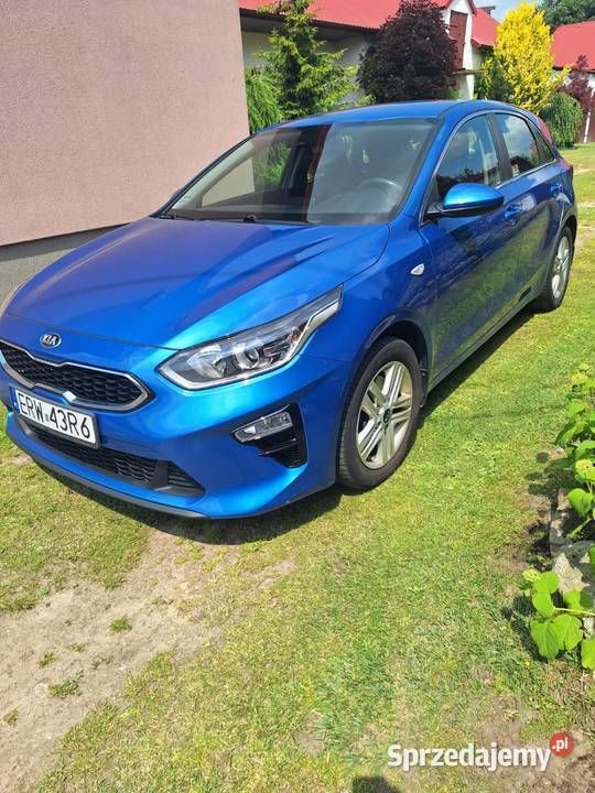Niebieski Używany 2019 Kia Ceed Hatchback | 58 000 zł (Drogi) - Obraz 1/4