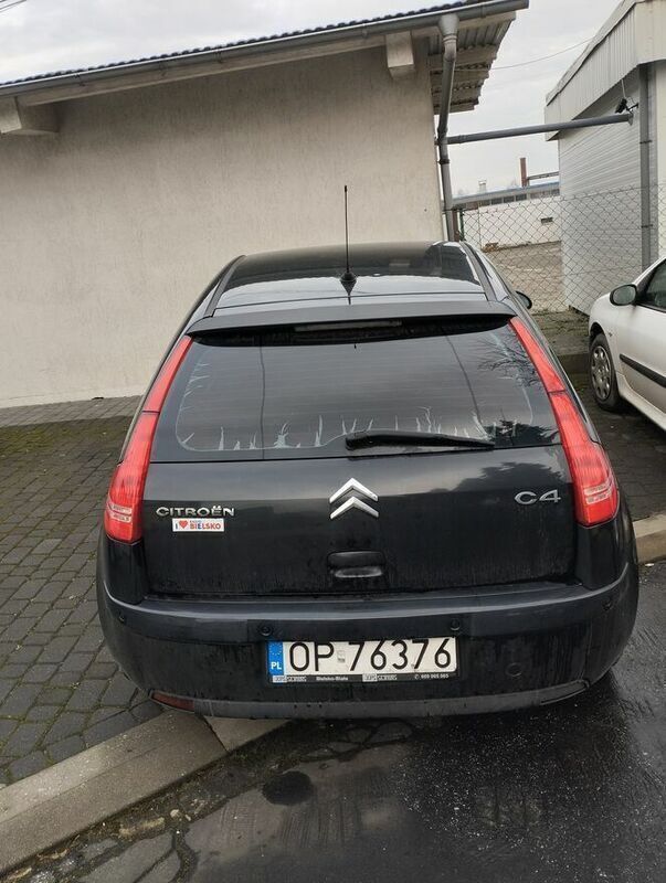 Obraz 1