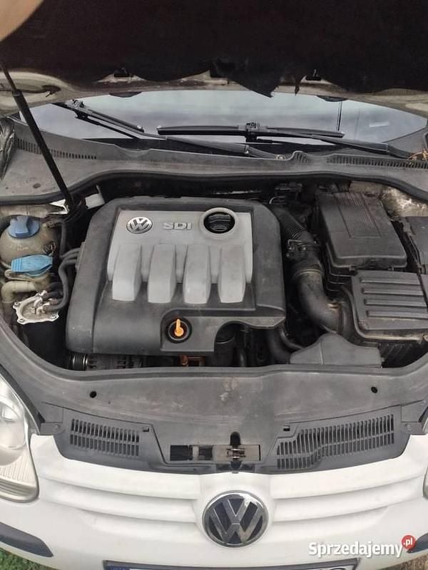 Używany VW Golf V 2004 Biały Hatchback