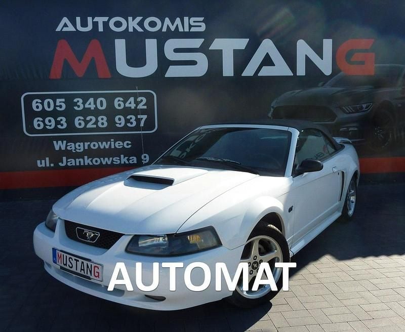 Biały Używany 2003 Ford Mustang Kabriolet | 29 900 zł - Obraz 1/4