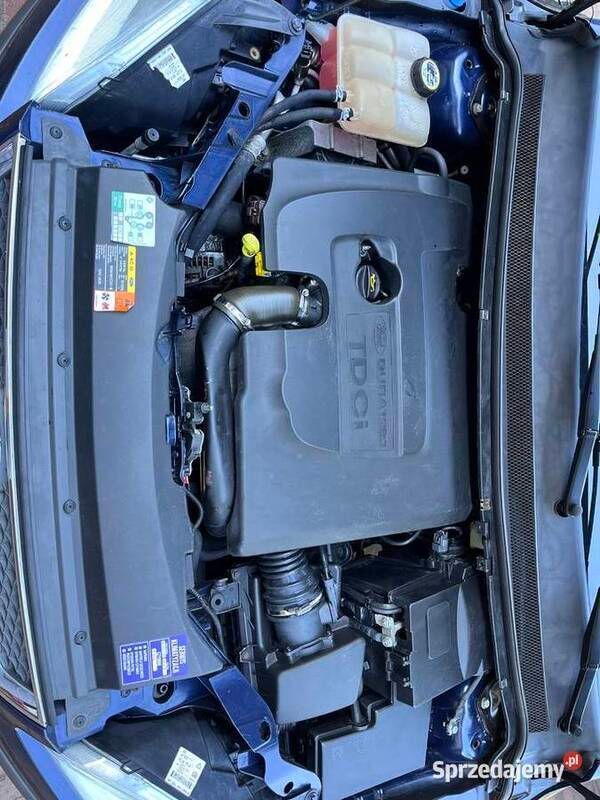 Niebieski Używany 2005 Ford Focus Ghia Hatchback | 9900 zł - Obraz 1/4