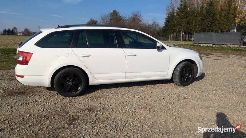 Biały Używany 2014 Skoda Octavia Kombi | 37 400 zł (Uczciwa cena) - Obraz 1/4