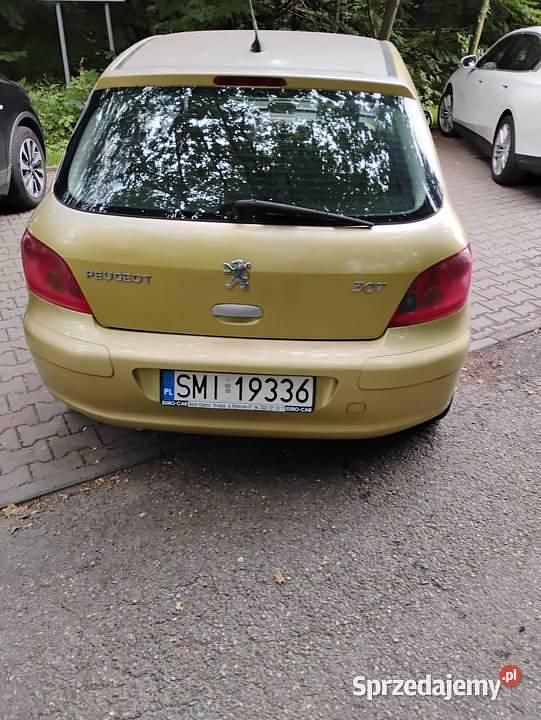 Używany 2001 Peugeot 307 | 2400 zł (Uczciwa cena) - Obraz 1/3