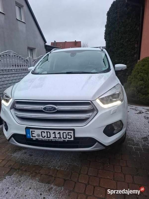 Używany Ford Kuga 2019 SUV