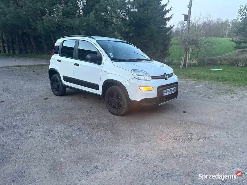 Biały Używany 2019 Fiat Panda 4x4 Hatchback | 32 900 zł - Obraz 1/4