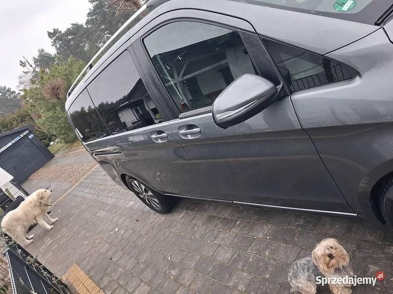 Używany Mercedes A250 2020