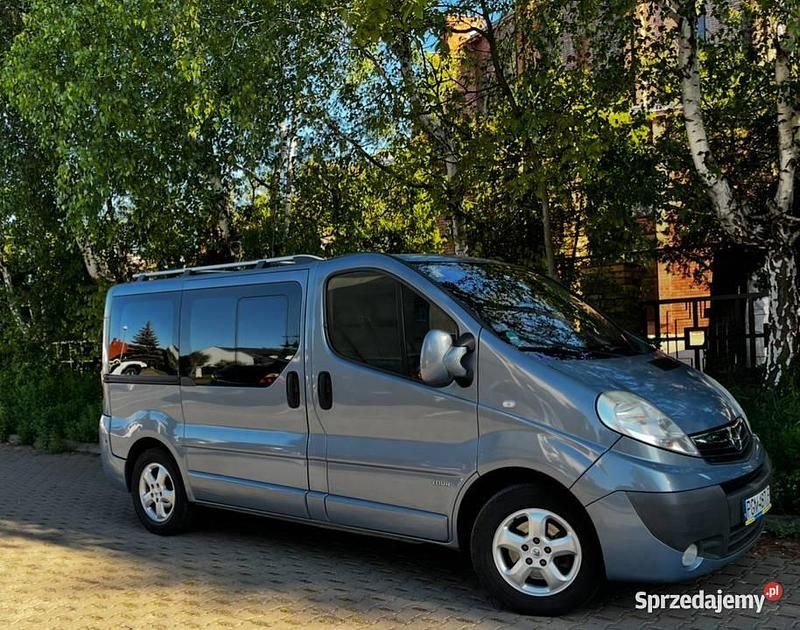 Używany 2010 Opel Vivaro Minivan | 39 900 zł (Uczciwa cena) - Obraz 1/3