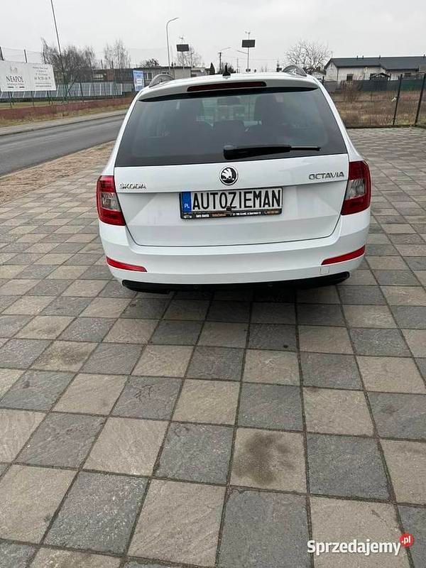 Używany 2016 Skoda Octavia | 36 900 zł (Dość drogi) - Obraz 1/4
