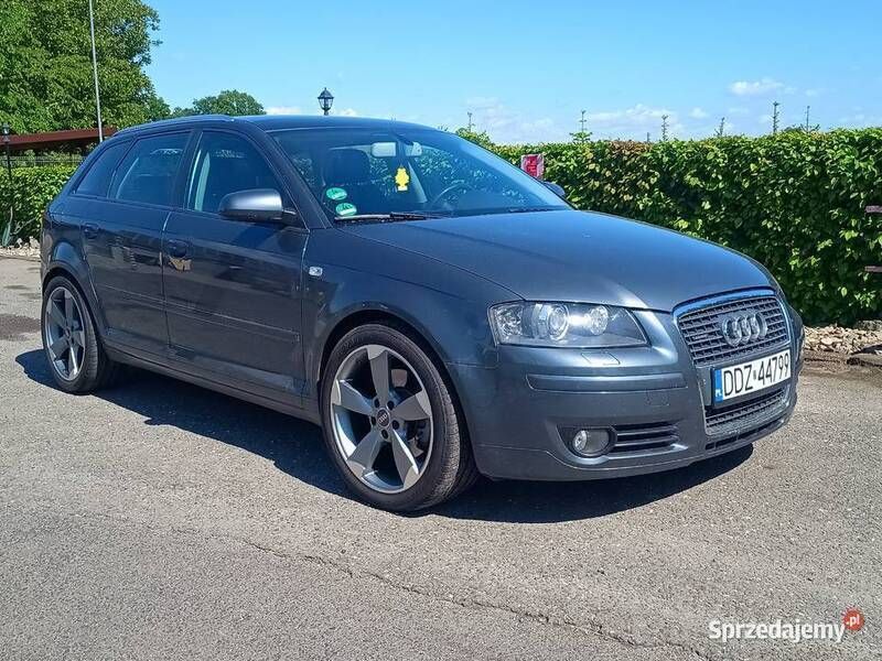 Szary Używany 2007 Audi A3 Hatchback | 21 500 zł (Dość drogi) - Obraz 1/4
