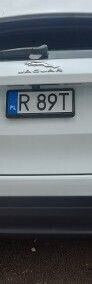 Obraz 4/4