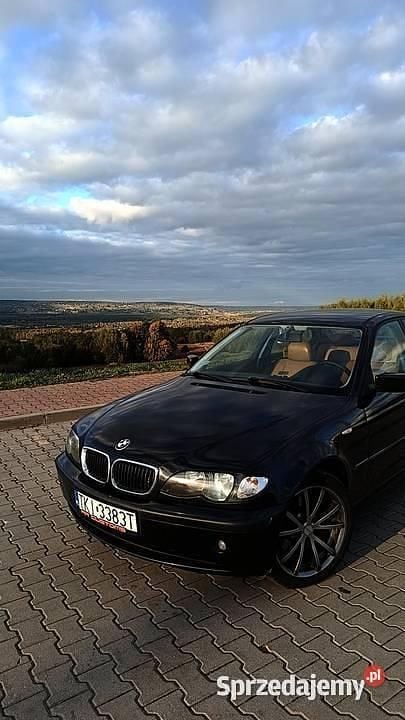 Używany 2003 BMW 320 | 11 000 zł (Dość drogi) - Obraz 1/4