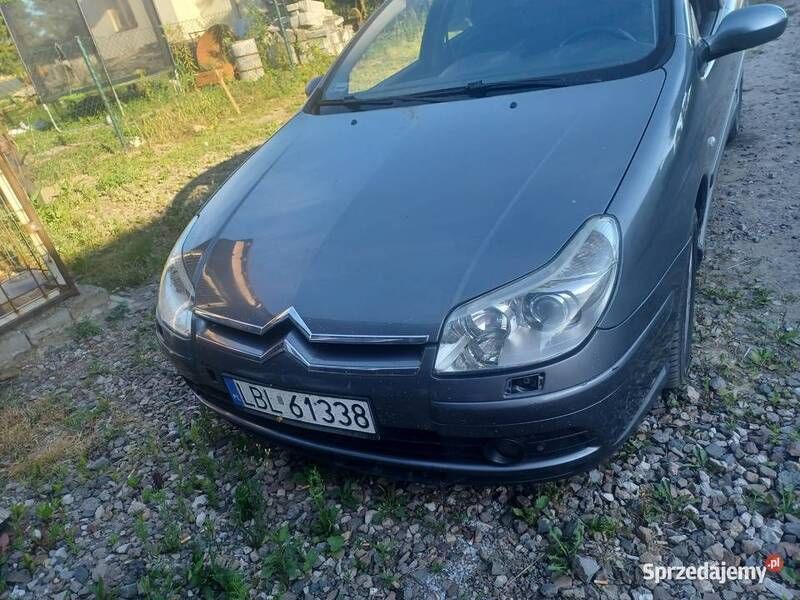 Obraz 3/3