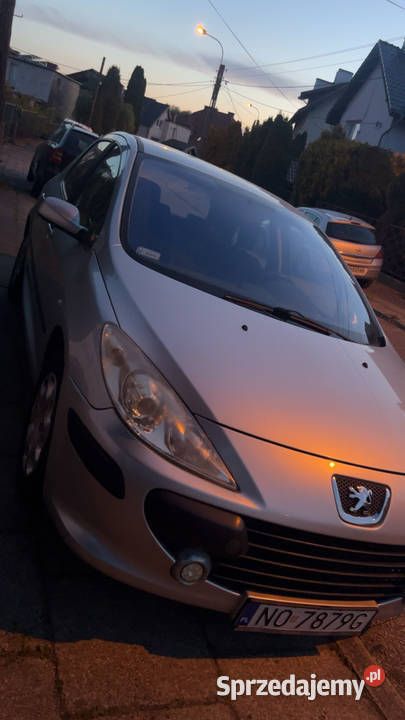 Używany 2007 Peugeot 307 | 2500 zł (Super Cena) - Obraz 1/1