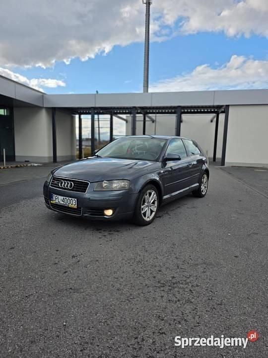 Używany 2004 Audi A3 Hatchback | 3800 zł (Dobra cena) - Obraz 1/4