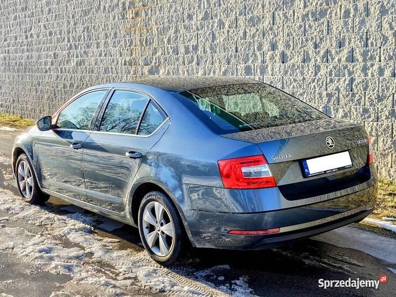 Używany Skoda Octavia 116 KM (85 kW) 2018 Szary (metalik) Sedan/Limuzyna