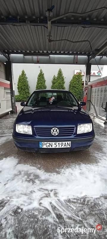Obraz 3/3