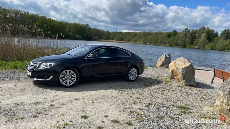 Używany 2014 Opel Insignia | 42 000 zł (Drogi) - Obraz 1/4