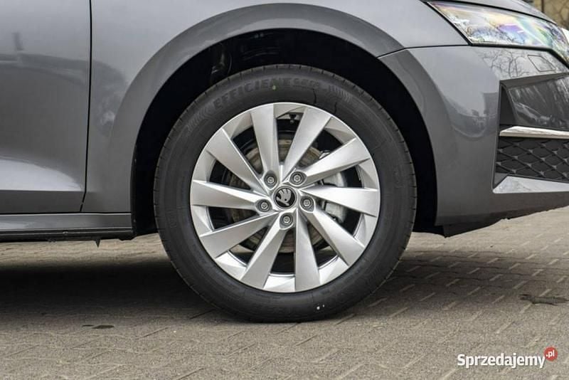 Szary Nowe 2026 Skoda Octavia Drive Kombi | 145 500 zł (Dobra cena) - Obraz 1/1