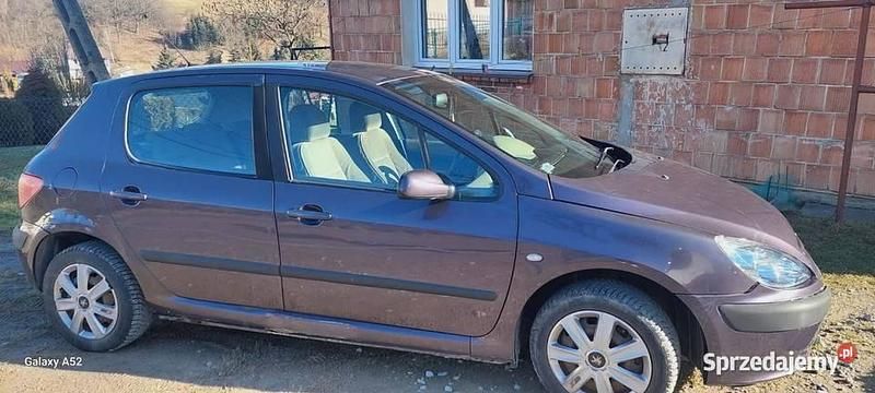 Używany Peugeot 307 2001 Fioletowy Hatchback