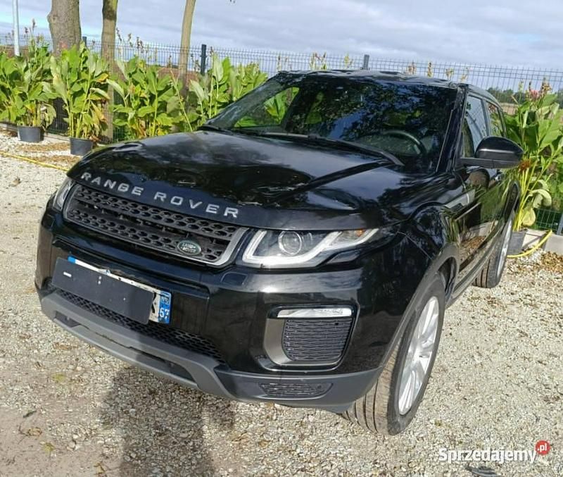 Czarny Używany 2017 Land Rover Range Rover evoque SUV | 29 999 zł - Obraz 1/4