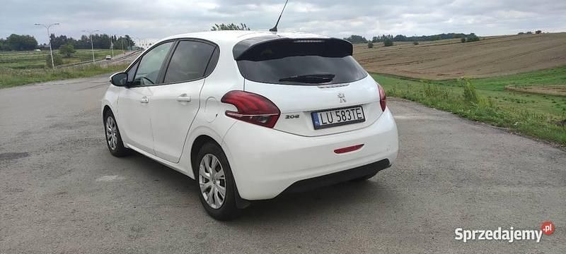 Obraz 4/4